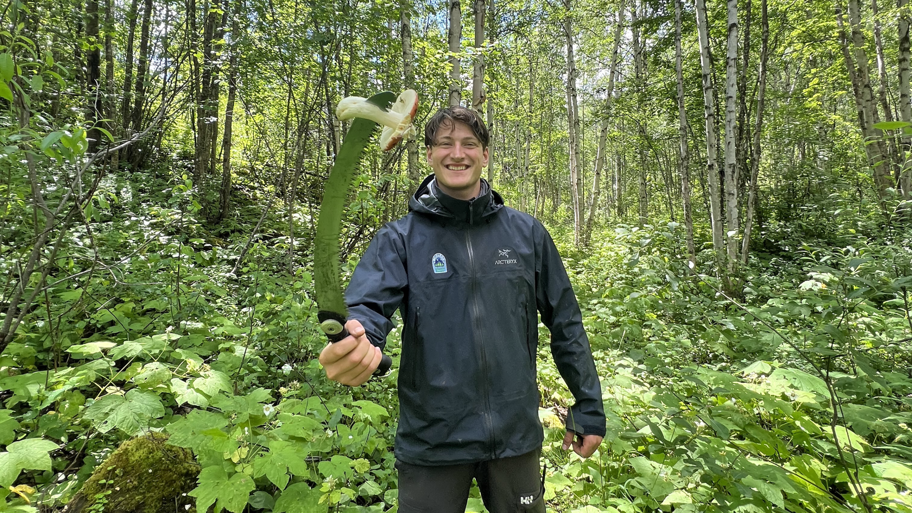 Karl Hare, a co-op student, is standing very happily in the forest, dressed in a waterproof black jacket and black trousers. He is holding up a large serrated knife, on which is impaled a giant white mushroom.